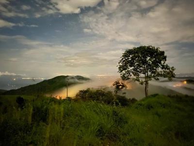 San Juan De Mata Turrubáres, San José 61105, Costa Rica