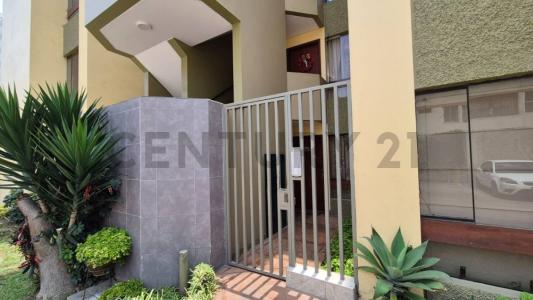 jiron francisco Bolognesi , Lima, Lima 00001, Peru