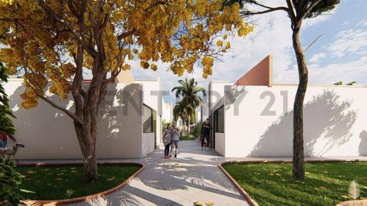 Villa Terron nn, Este, Santa Cruz 12345, Bolivia