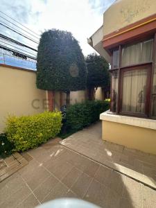 CALLE 35 DE ACHUMANI 2, Achumani, La Paz NN, Bolivie