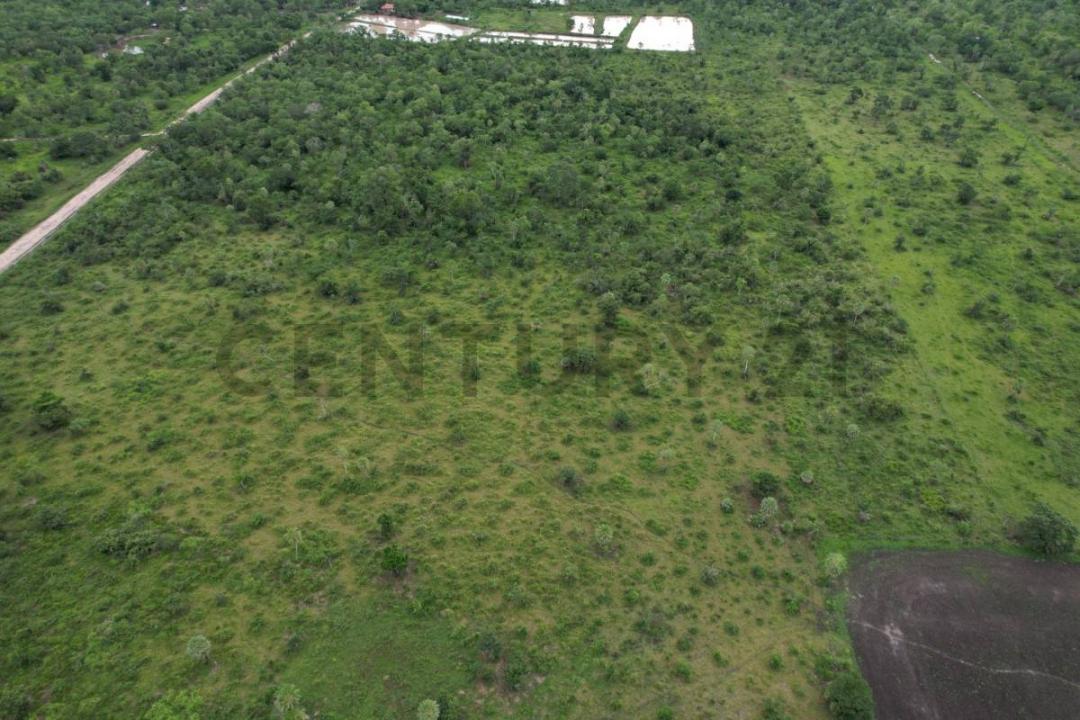 Cercado, Beni 00001, Bolivie