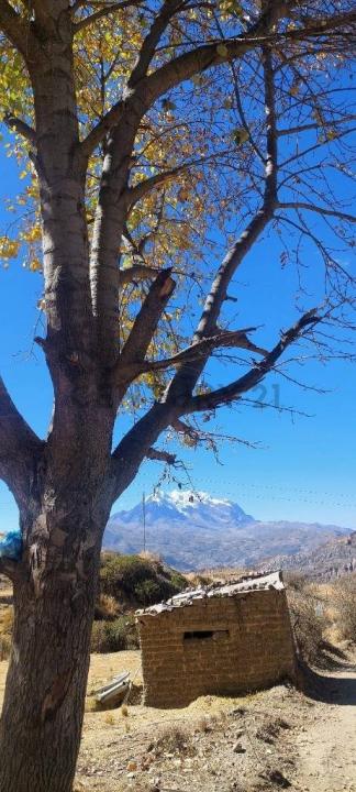 Palca, La Paz 00001, Боливия