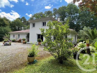 Dax, Aquitania 40100, Francia