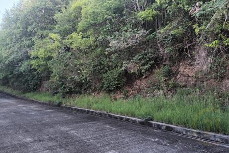 Egmont - Lot No. 57, Egmont, St.George West Indies, Granada