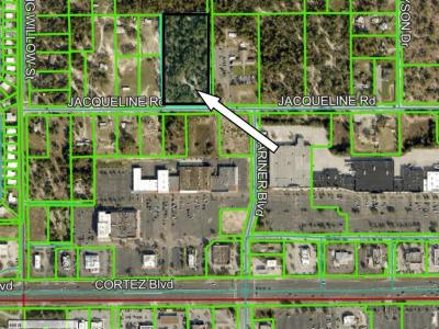 00000 Jacqueline Road, Brooksville, فلوريدا 34613, الولايات المتحدة