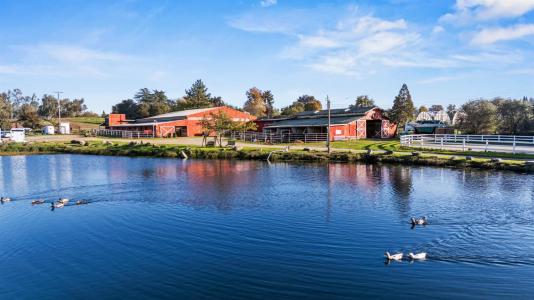 3755 Mount Pleasant Road, Lincoln, カリフォルニア 95648, アメリカ合衆国