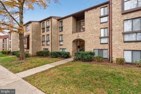 2063 Royal Fern Court Unit# 39/21B, Reston, 弗吉尼亚州 20191, 美国