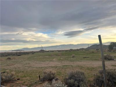 33321 Desert, Lucerne Valley, קליפורניה 92356, ארצות הברית של אמריקה 