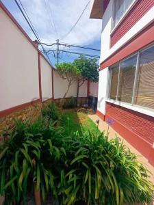 calle 5 y Barulio Vera , Irpavi, La Paz 00001, ボリビア