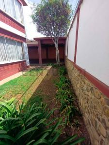 calle 5 y Barulio Vera , Irpavi, La Paz 00001, ボリビア