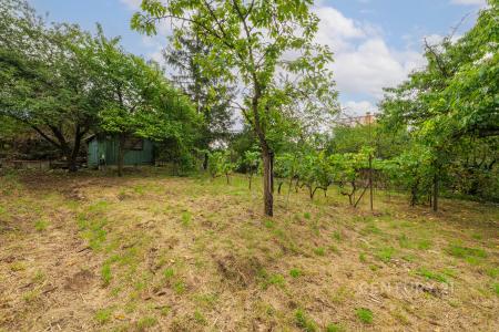 Brno, Brno-město 62100, 체코