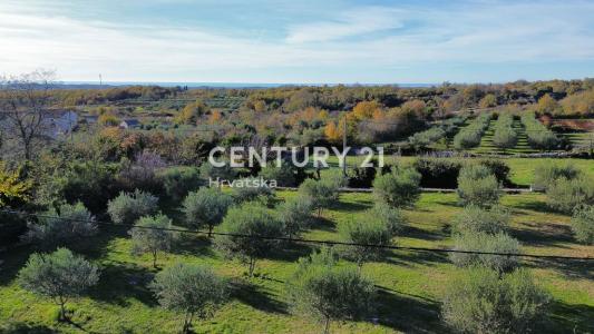 Sveti Lovreč, Sveti Lovreč, Istarska Županija, كرواتيا