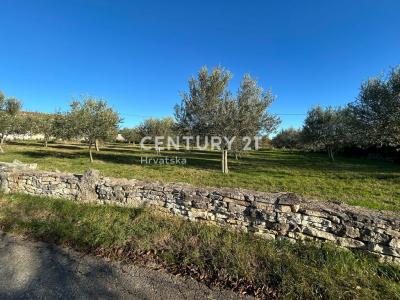 Sveti Lovreč, Sveti Lovreč, Istarska Županija, Croatie