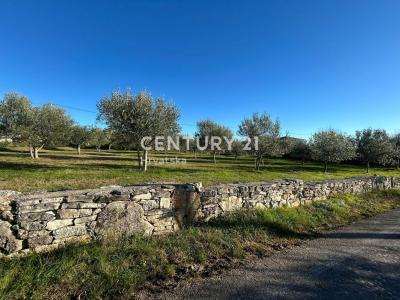 Sveti Lovreč, Sveti Lovreč, Istarska Županija, Croatie