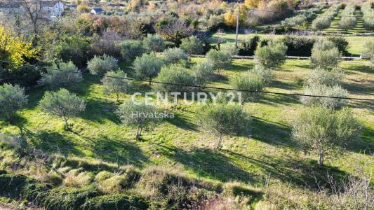 Sveti Lovreč, Sveti Lovreč, Istarska Županija, Croatie