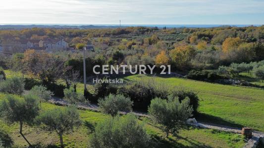 Sveti Lovreč, Sveti Lovreč, Istarska Županija, Croatie