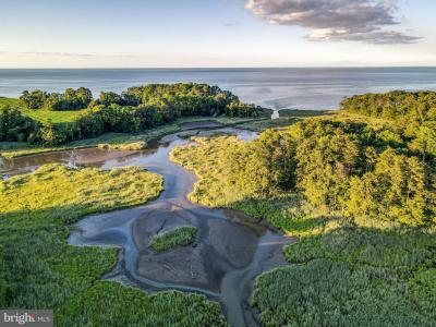 49465 Demko Road, Lexington Park, Maryland 20653, Estados Unidos