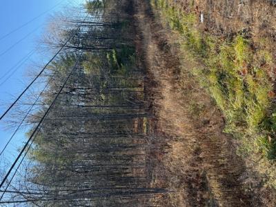 Lot 5B China Road, Winslow, 缅因州 04901, 美国