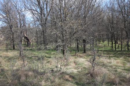 Lot 21 Cheyenne Drive, Runaway Bay, Texas 76426, USA