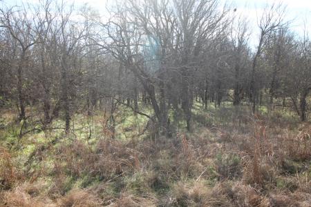 Lot 21 Cheyenne Drive, Runaway Bay, Texas 76426, USA