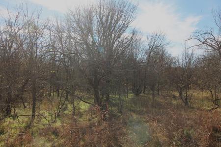 Lot 21 Cheyenne Drive, Runaway Bay, Texas 76426, USA