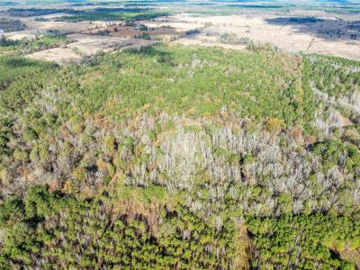 00 CR 2237, Bagwell, 得克萨斯州 75412, 美国