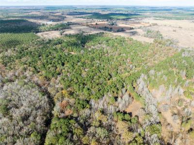 00 CR 2237, Bagwell, 得克萨斯州 75412, 美国