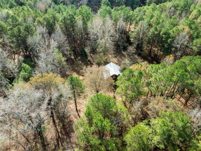 00 CR 2237, Bagwell, 得克萨斯州 75412, 美国