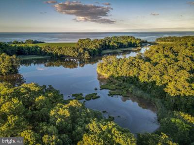 49465 Demko Road, Lexington Park, Maryland 20653, Estados Unidos