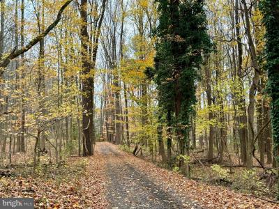 49465 Demko Road, Lexington Park, Maryland 20653, Estados Unidos