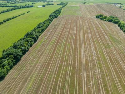 000 S Farm Road 196, Blossom, تكساس 75416, الولايات المتحدة