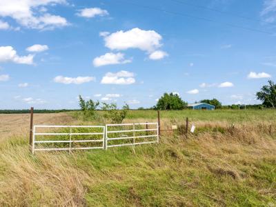 000 S Farm Road 196, Blossom, تكساس 75416, الولايات المتحدة