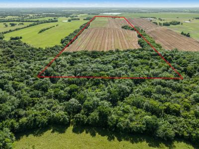 000 S Farm Road 196, Blossom, تكساس 75416, الولايات المتحدة