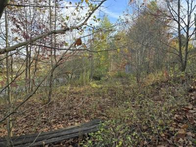 95 Zane Lane, Garrison, Kentucky 41141, USA