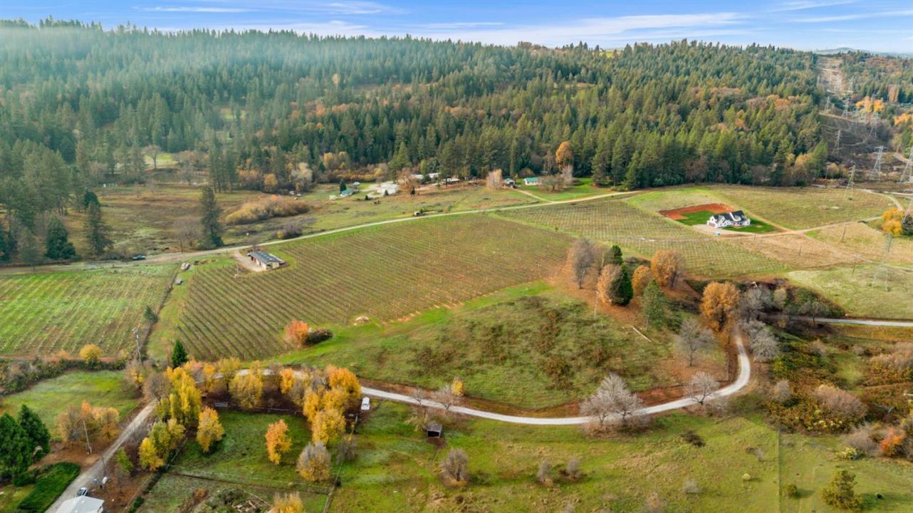 2635 Cleese Road, Camino, 加利福尼亚州 95709, 美国