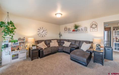 111 6675 Road, Montrose, 콜로라도 81401, 미국