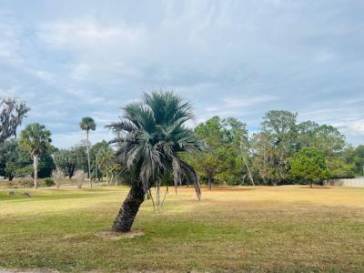 6531 S Magnolia Ave, Ocala, Florida 34471, HOA KỲ