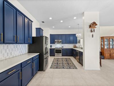 26249 Sword Dancer Dr, Wesley Chapel, Flórida 33544, Estados Unidos