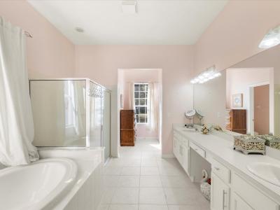 26249 Sword Dancer Dr, Wesley Chapel, Flórida 33544, Estados Unidos