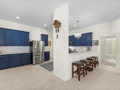 26249 Sword Dancer Dr, Wesley Chapel, Flórida 33544, Estados Unidos