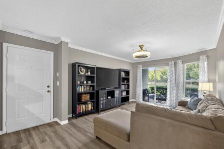 4201 Woodstorks Walk Way #109, Lutz, Florida 33558