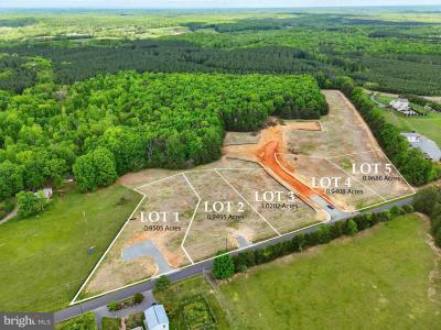 Lot 1 Richards Ferry Road, Richardsville, Virginia 22736, Stati Uniti