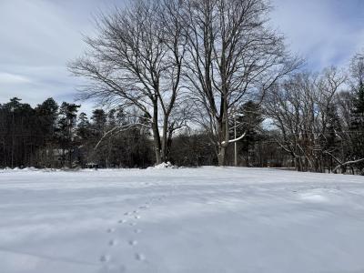 6593 134th Avenue, Saugatuck, Michigan 49453, USA