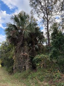 22 Westglen Lane, Palm Coast, Floride 32162, États-Unis