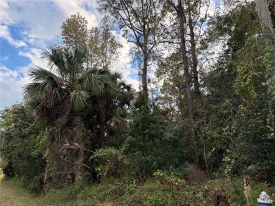 22 Westglen Lane, Palm Coast, Floride 32162, États-Unis