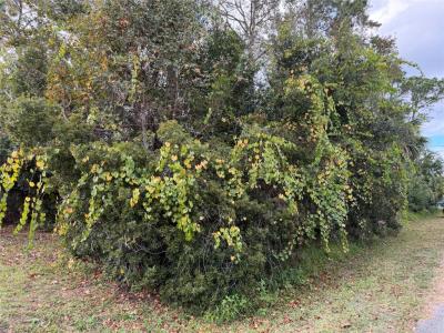 22 Westglen Lane, Palm Coast, Floride 32162, États-Unis