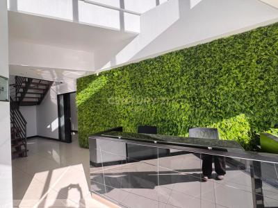 Mesa Geitonia, 塞浦路斯