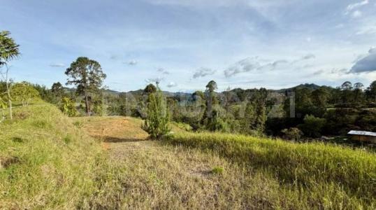 El Retiro, Antioquia 00001, Colombia