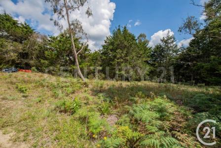 Envigado, Antioquia 055427, Colombia