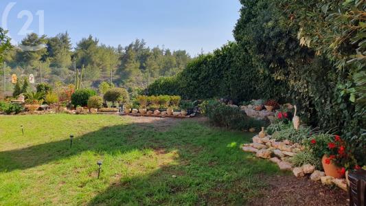 הוותיקה, הר אדר, Israel